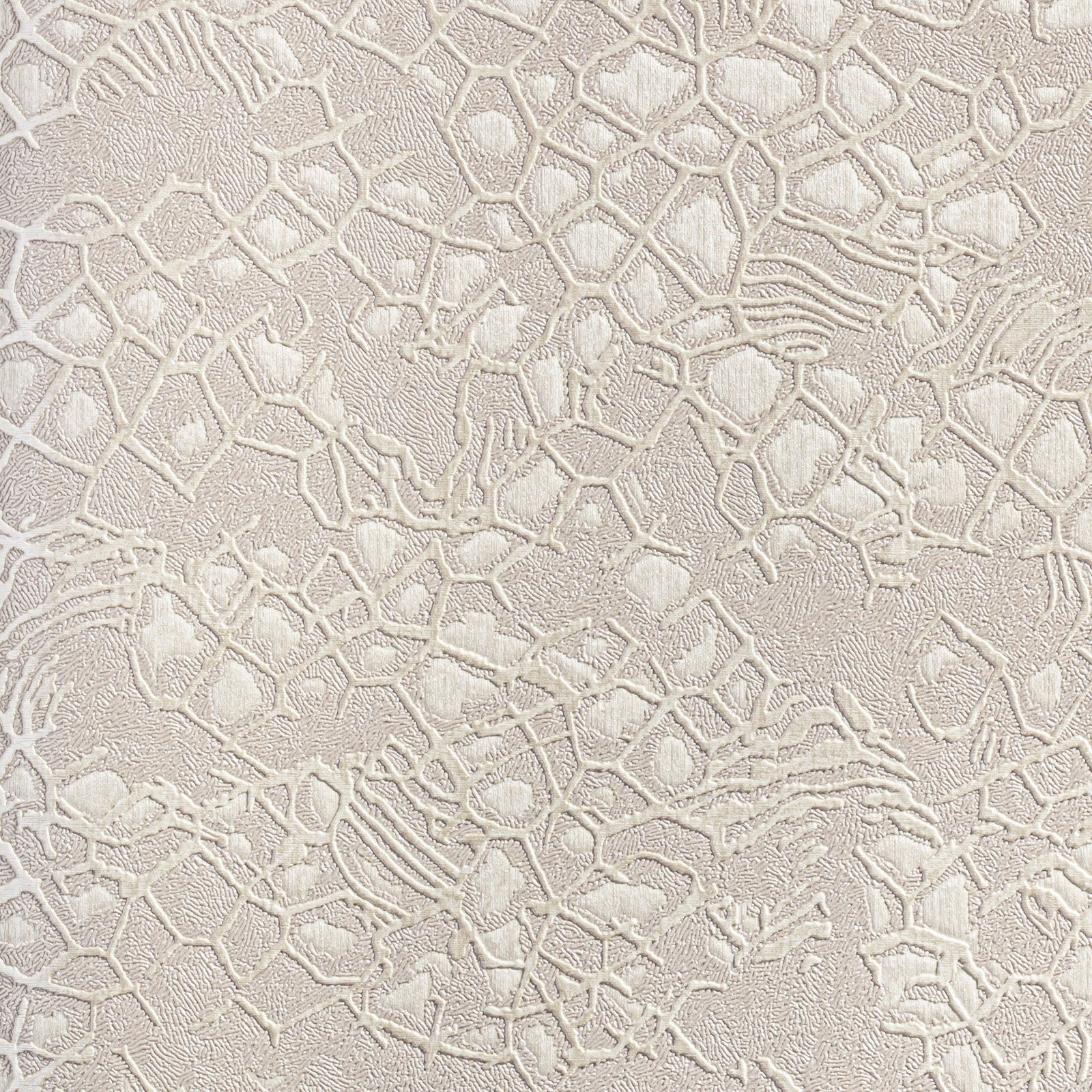 Обои  Roberto Cavalli RC 19038