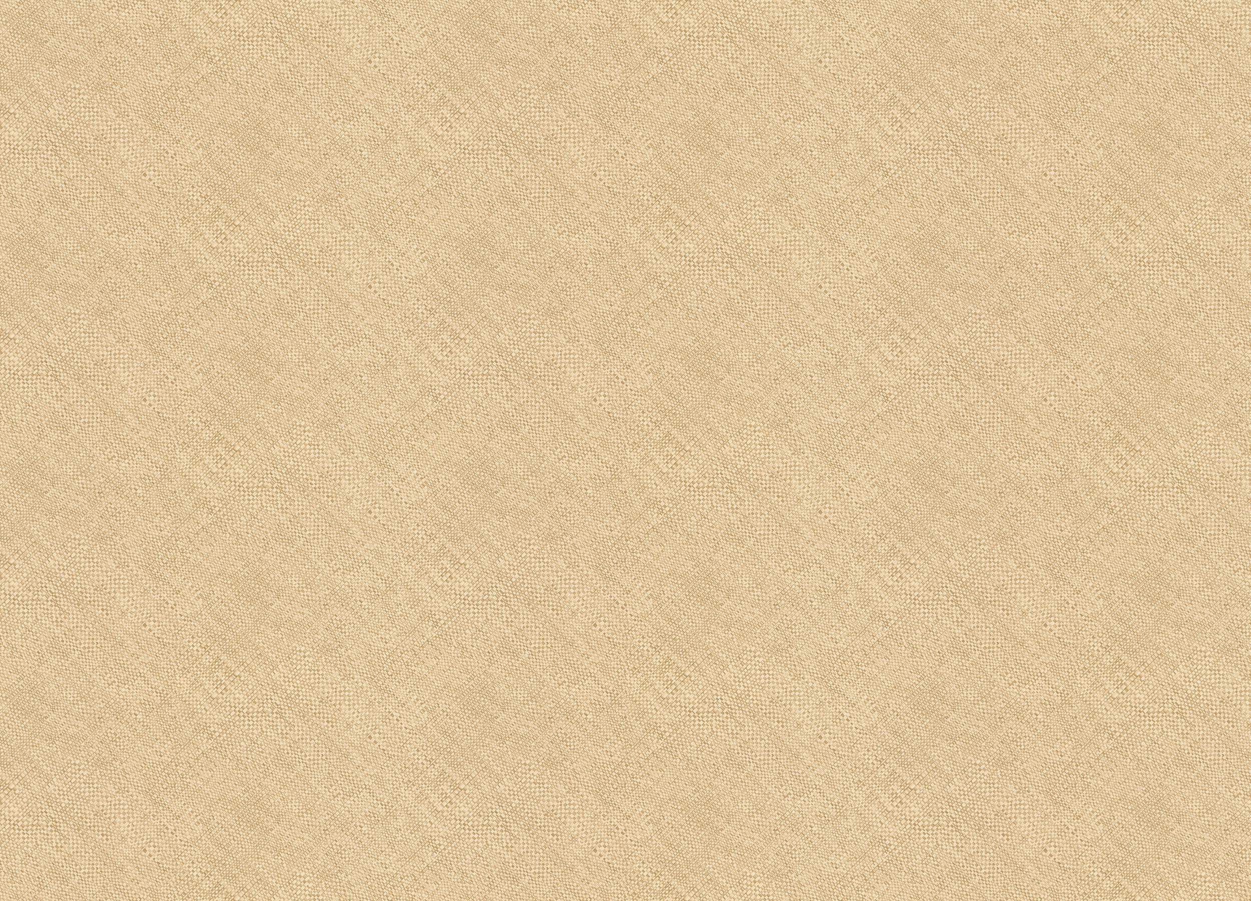 970951 Обои Rasch (Country Living) (1*6) 10,00x1,06 винил на флизелине 970951 Обои Rasch (Country Living) (1*6) 10,00x1,06 винил на флизелине