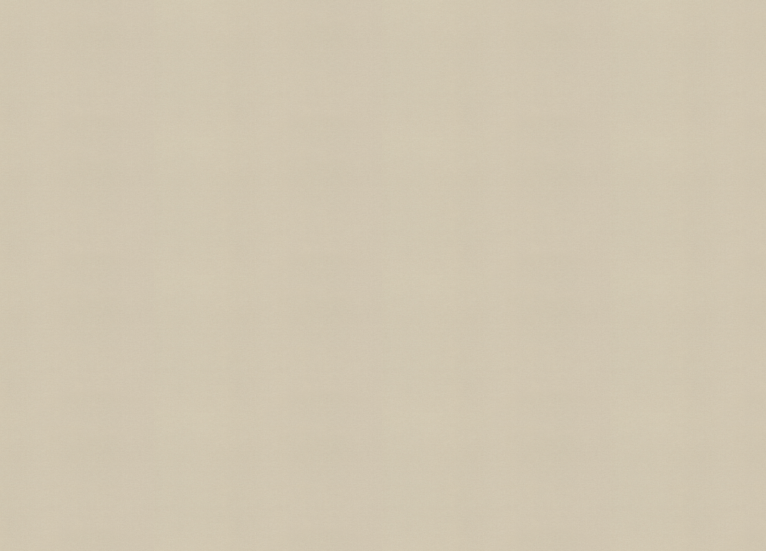 971378 Обои Rasch (Country Living) (1*6) 10,00x1,06 винил на флизелине 971378 Обои Rasch (Country Living) (1*6) 10,00x1,06 винил на флизелине