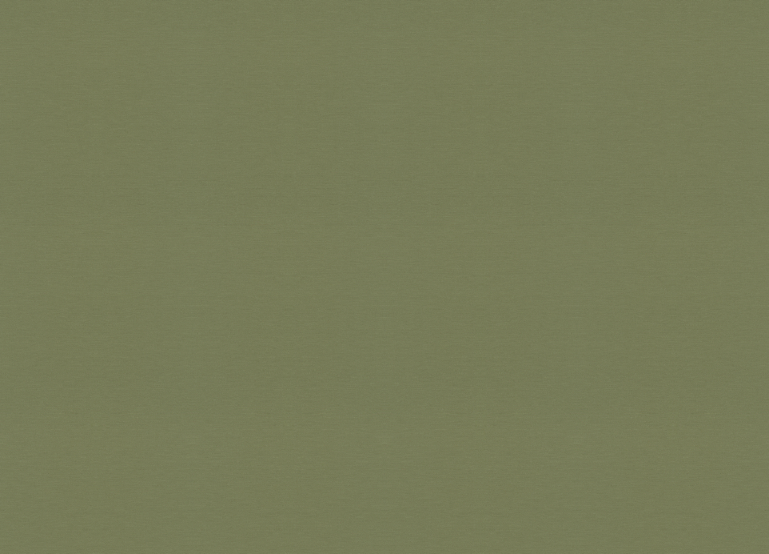 687538 Обои Rasch (Allegretto) (1*12) 10,05x0,53 винил на флизелине 687538 Обои Rasch (Allegretto) (1*12) 10,05x0,53 винил на флизелине