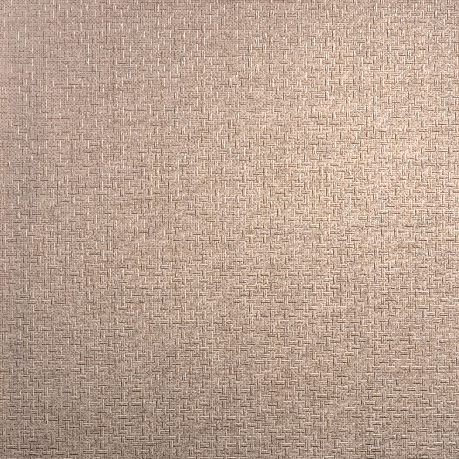 Обои Alessandro Allori RST1605-4 Обои Alessandro Allori RST1605-4