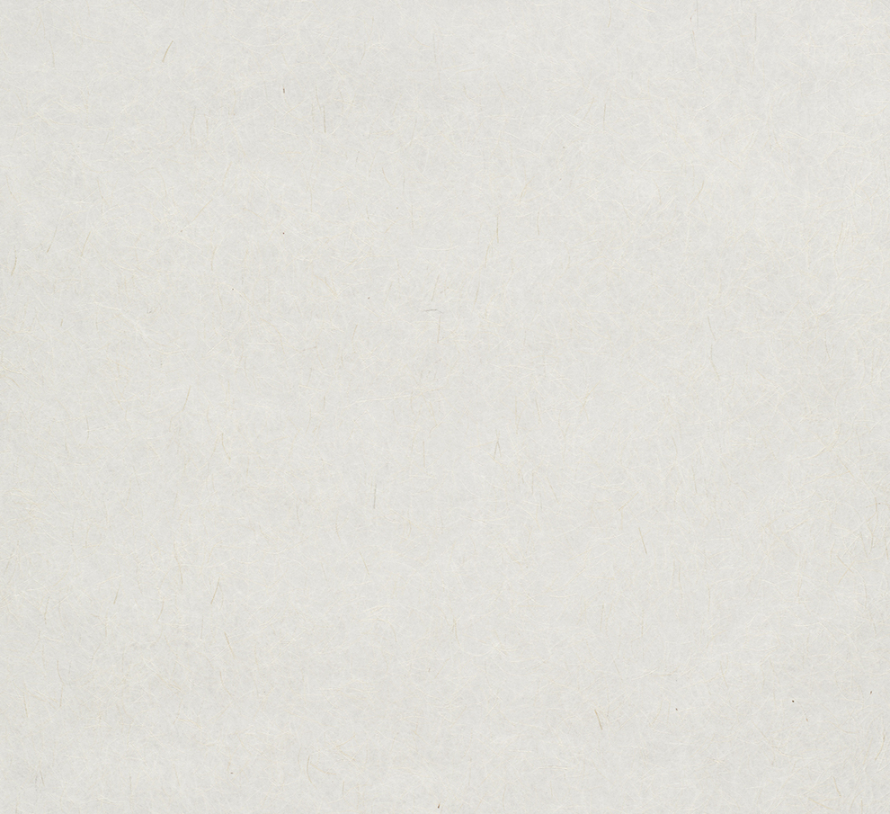 9799 Обои Marburg (Patent Decor) (1*4) 25,0х0,75 флиз