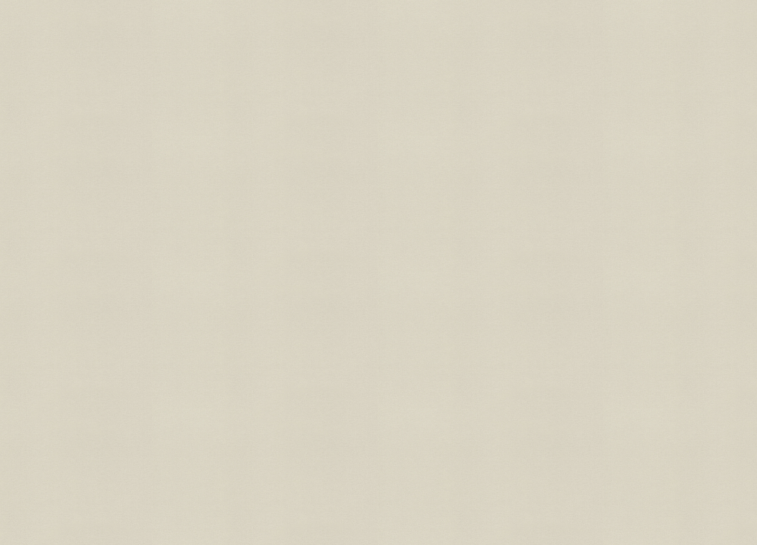 971385 Обои Rasch (Country Living) (1*6) 10,00x1,06 винил на флизелине 971385 Обои Rasch (Country Living) (1*6) 10,00x1,06 винил на флизелине