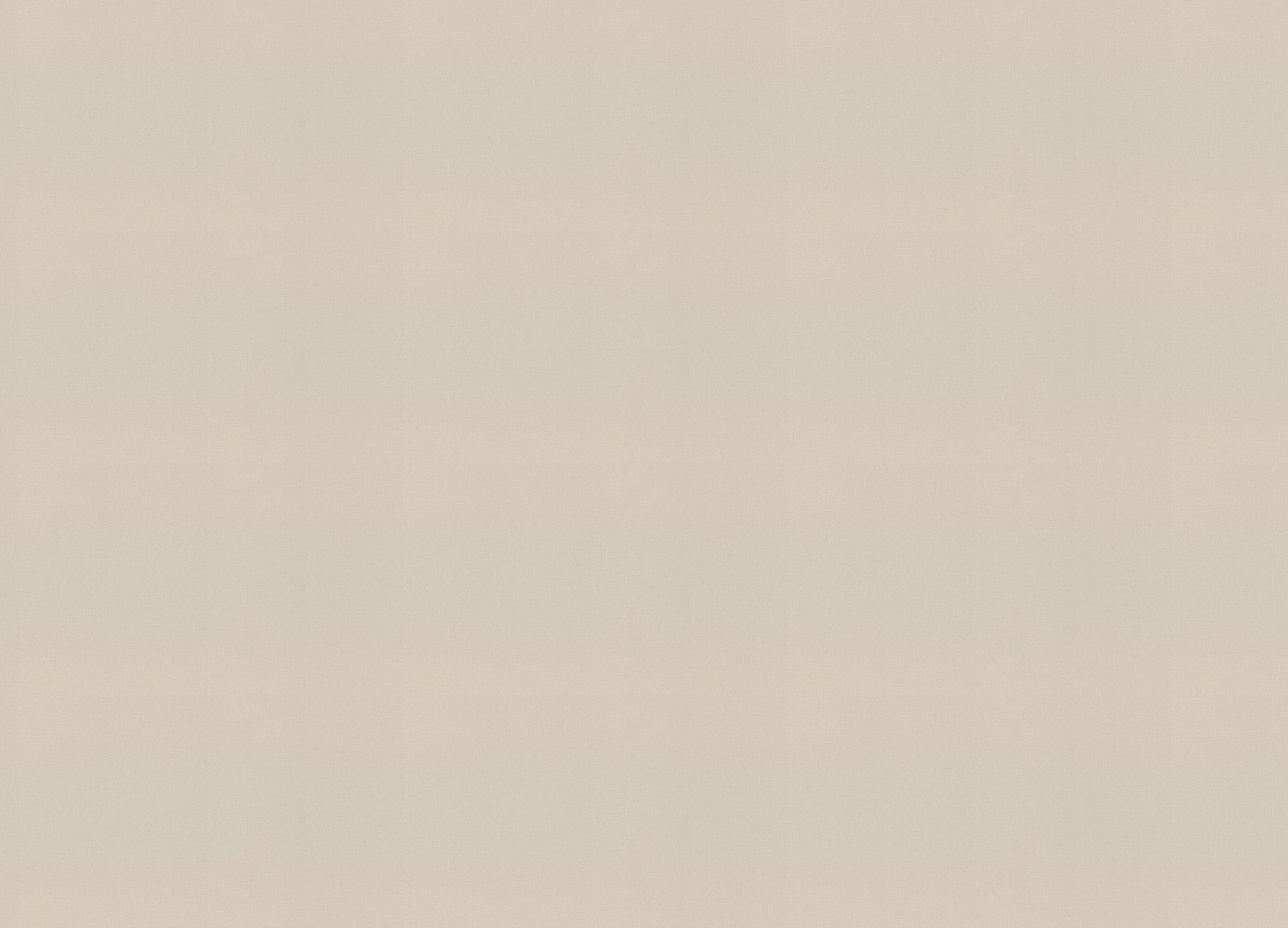 983517 Обои Rasch (Novella) (1*6) 10,05x1,06 винил на флизелине 983517 Обои Rasch (Novella) (1*6) 10,05x1,06 винил на флизелине
