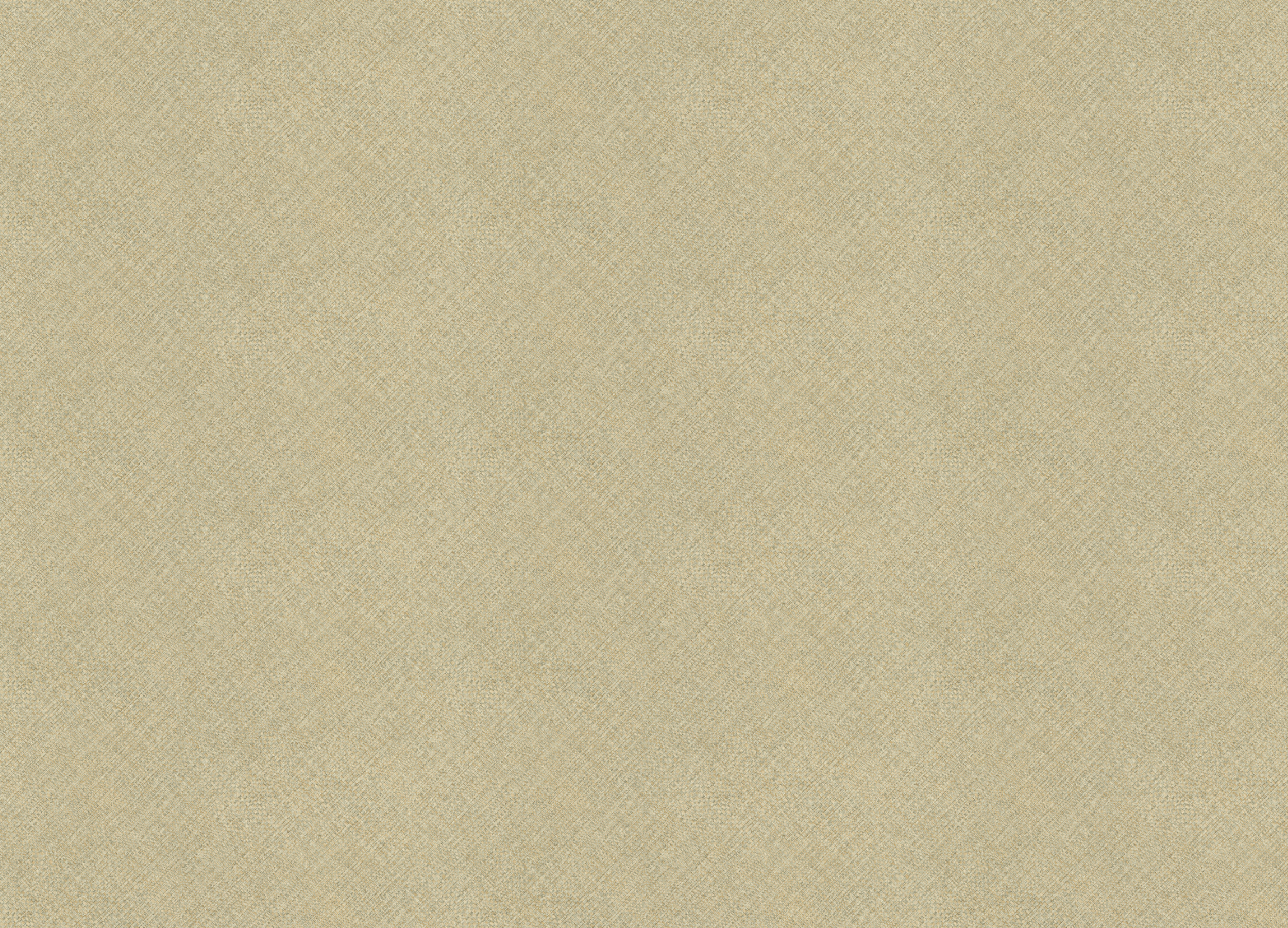 970975 Обои Rasch (Country Living) (1*6) 10,00x1,06 винил на флизелине 970975 Обои Rasch (Country Living) (1*6) 10,00x1,06 винил на флизелине