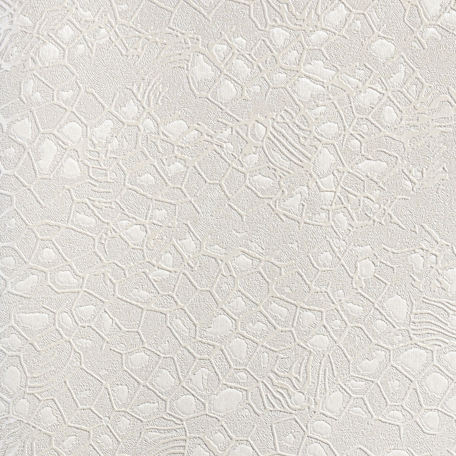 Обои  Roberto Cavalli RC 19039