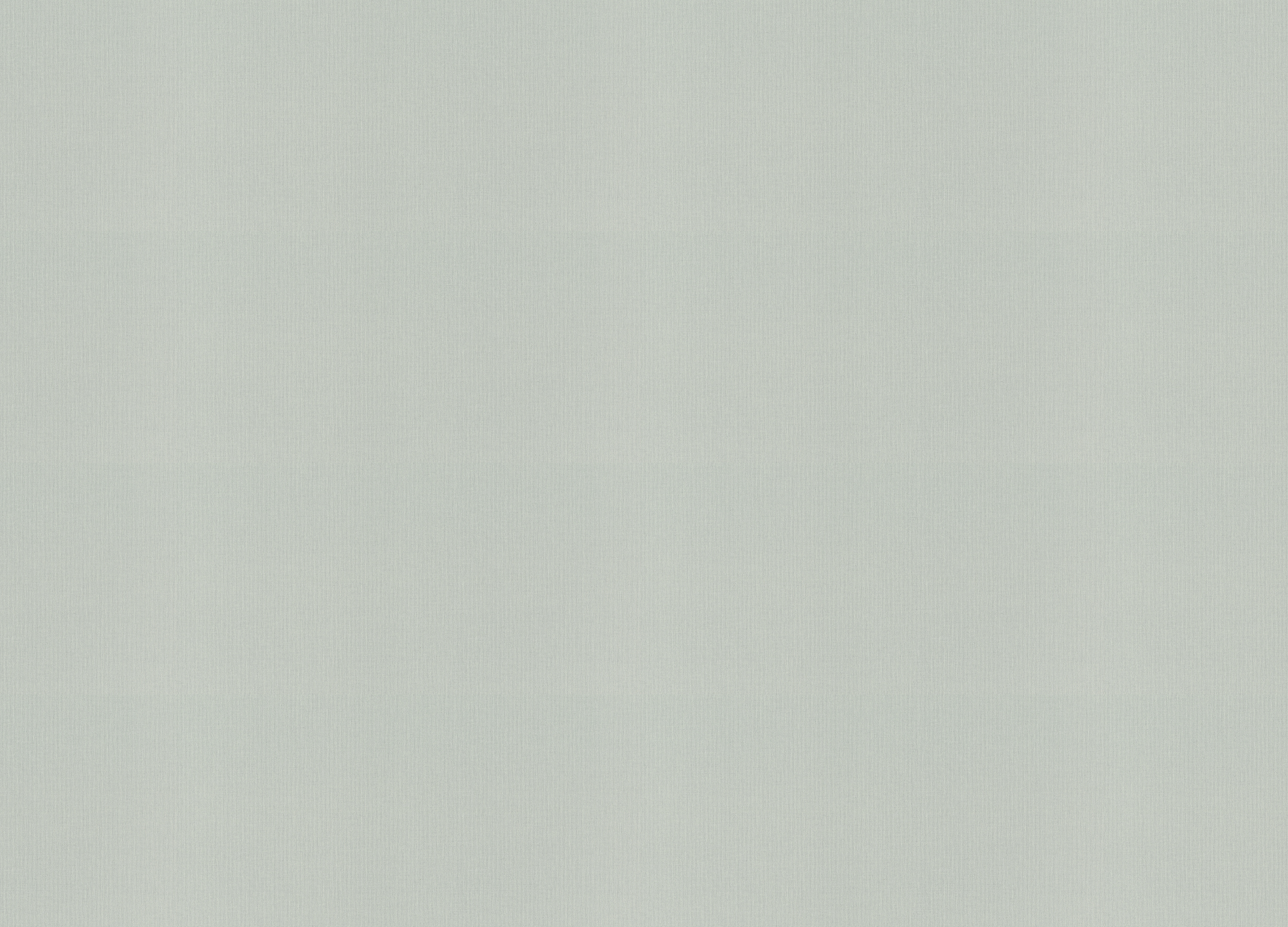 960792 Обои Rasch (Novella) (1*6) 10,05x1,06 винил на флизелине 960792 Обои Rasch (Novella) (1*6) 10,05x1,06 винил на флизелине