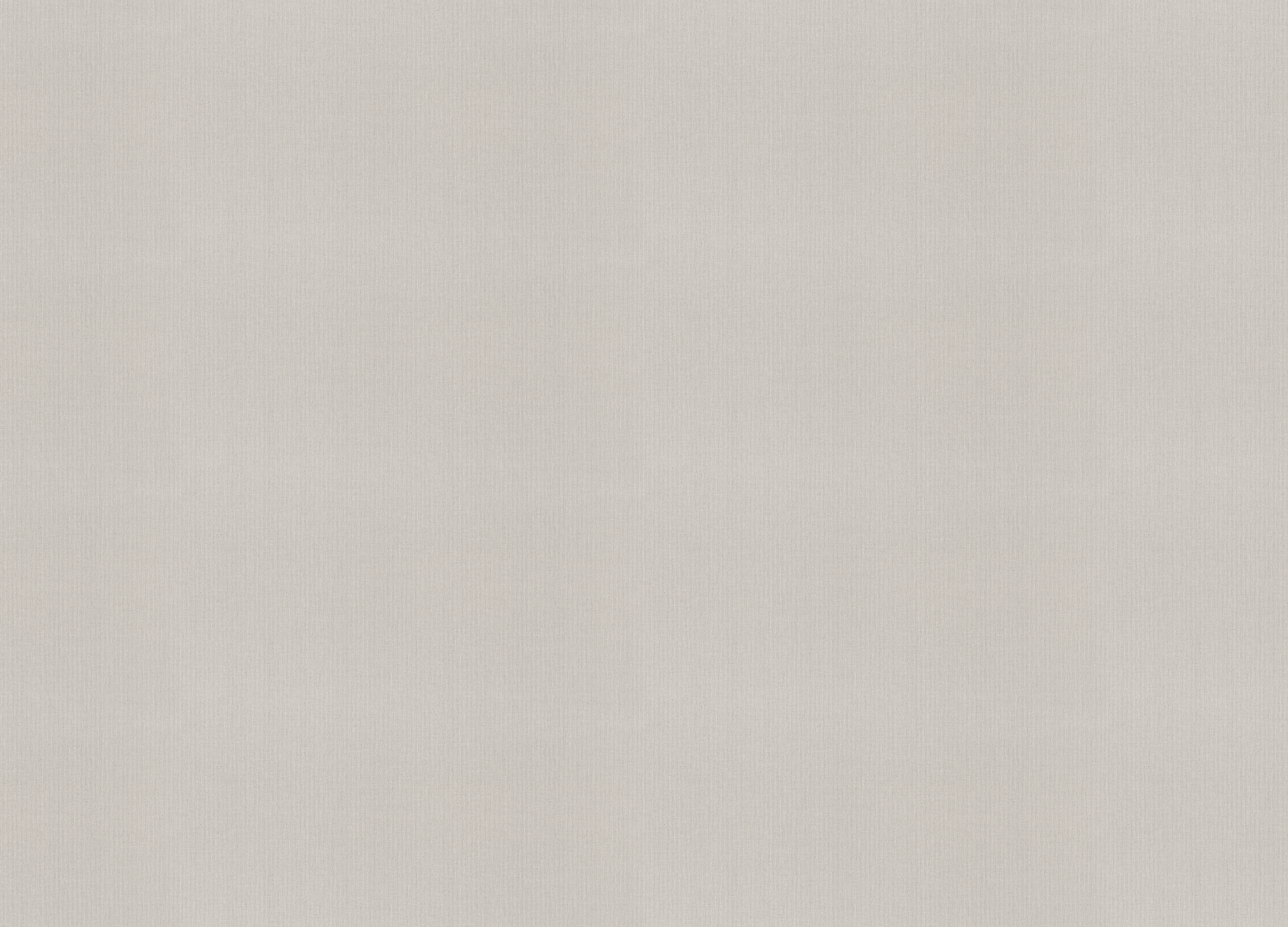 960785 Обои Rasch (Novella) (1*6) 10,05x1,06 винил на флизелине 960785 Обои Rasch (Novella) (1*6) 10,05x1,06 винил на флизелине