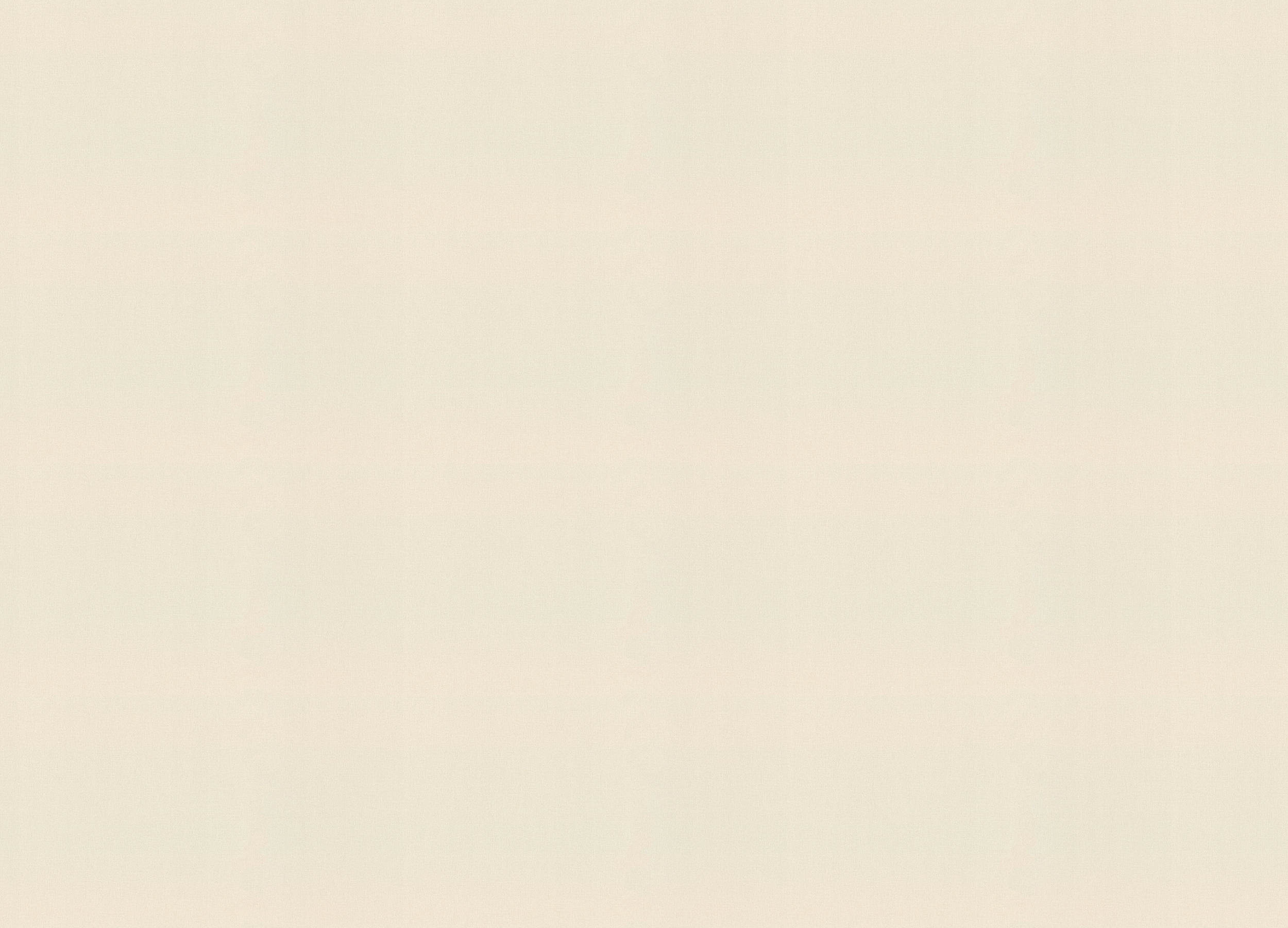 983586 Обои Rasch (Novella) (1*6) 10,05x1,06 винил на флизелине 983586 Обои Rasch (Novella) (1*6) 10,05x1,06 винил на флизелине