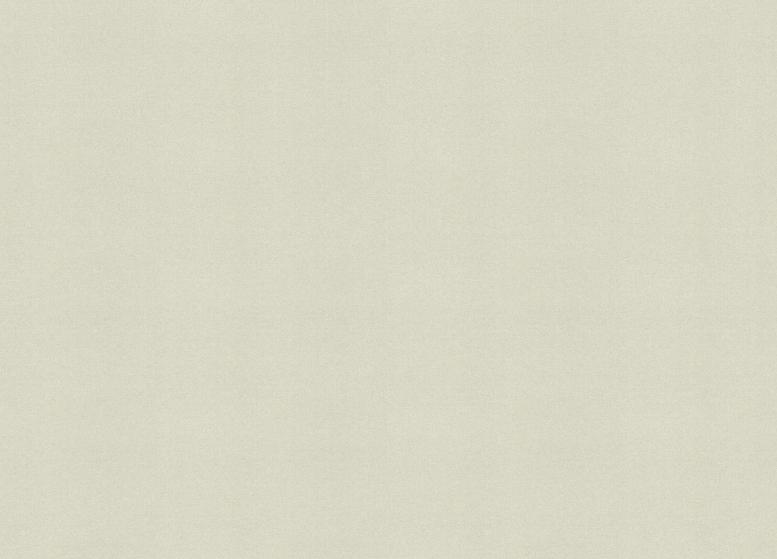971415 Обои Rasch (Country Living) (1*6) 10,00x1,06 винил на флизелине 971415 Обои Rasch (Country Living) (1*6) 10,00x1,06 винил на флизелине