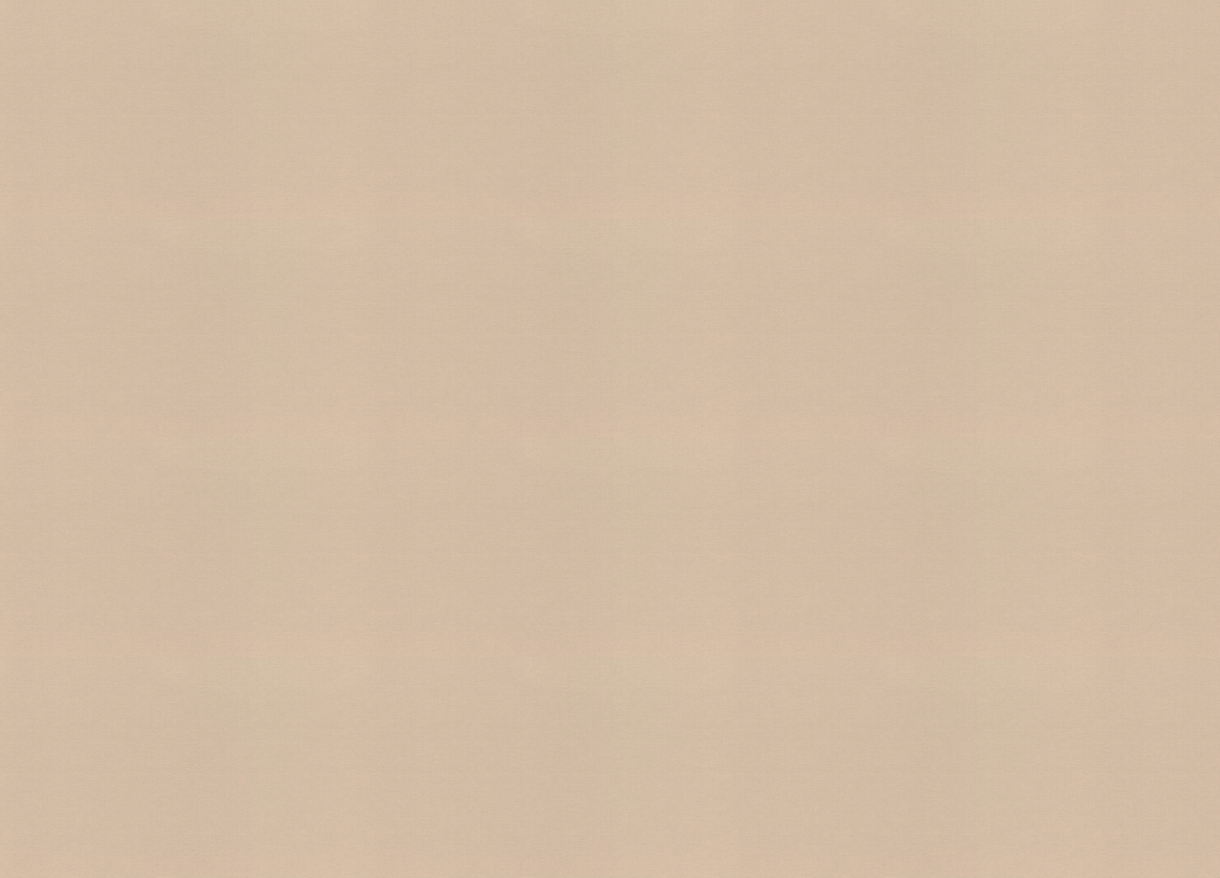 971439 Обои Rasch (Country Living) (1*6) 10,00x1,06 винил на флизелине 971439 Обои Rasch (Country Living) (1*6) 10,00x1,06 винил на флизелине