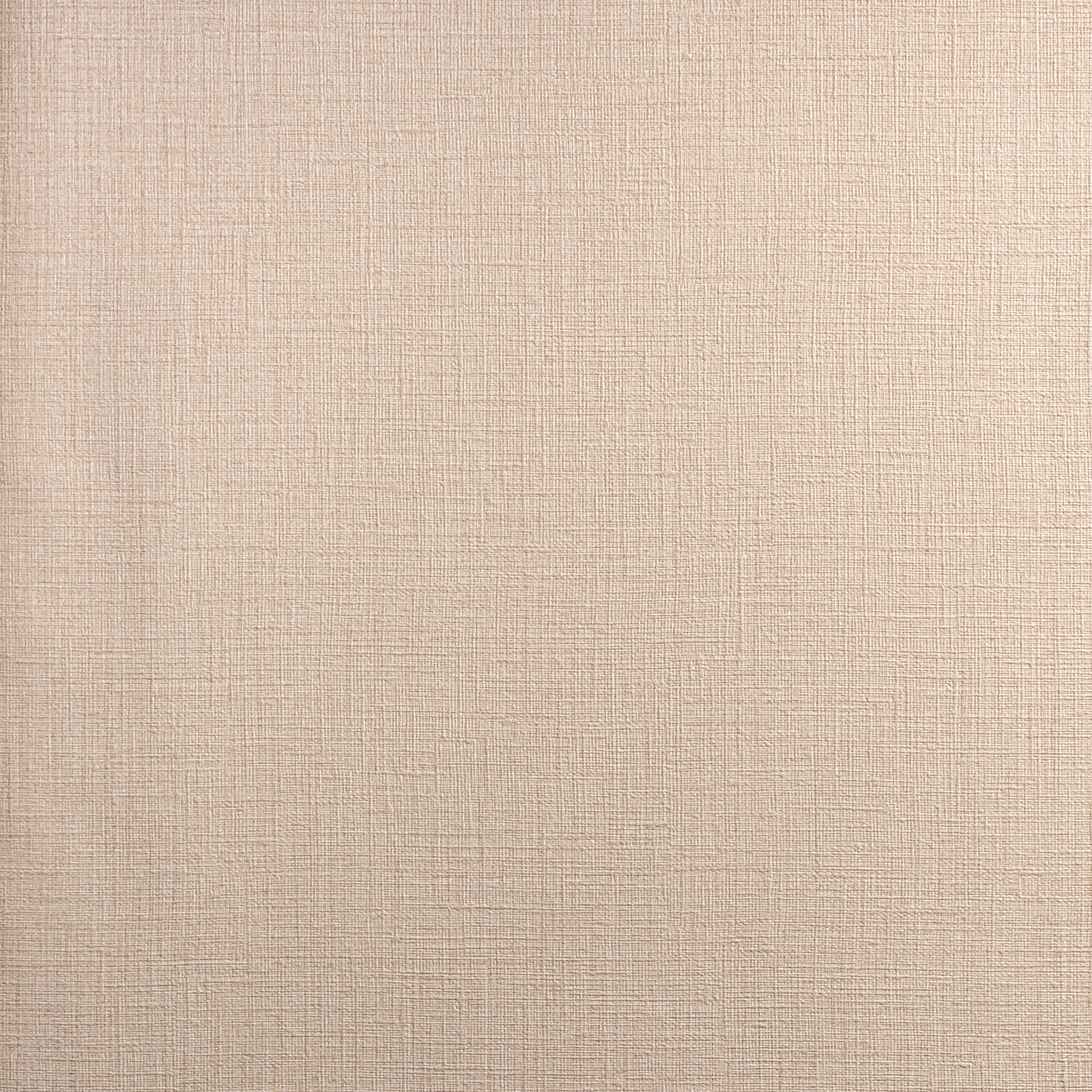 Обои  Alessandro Allori RDV 2405-6