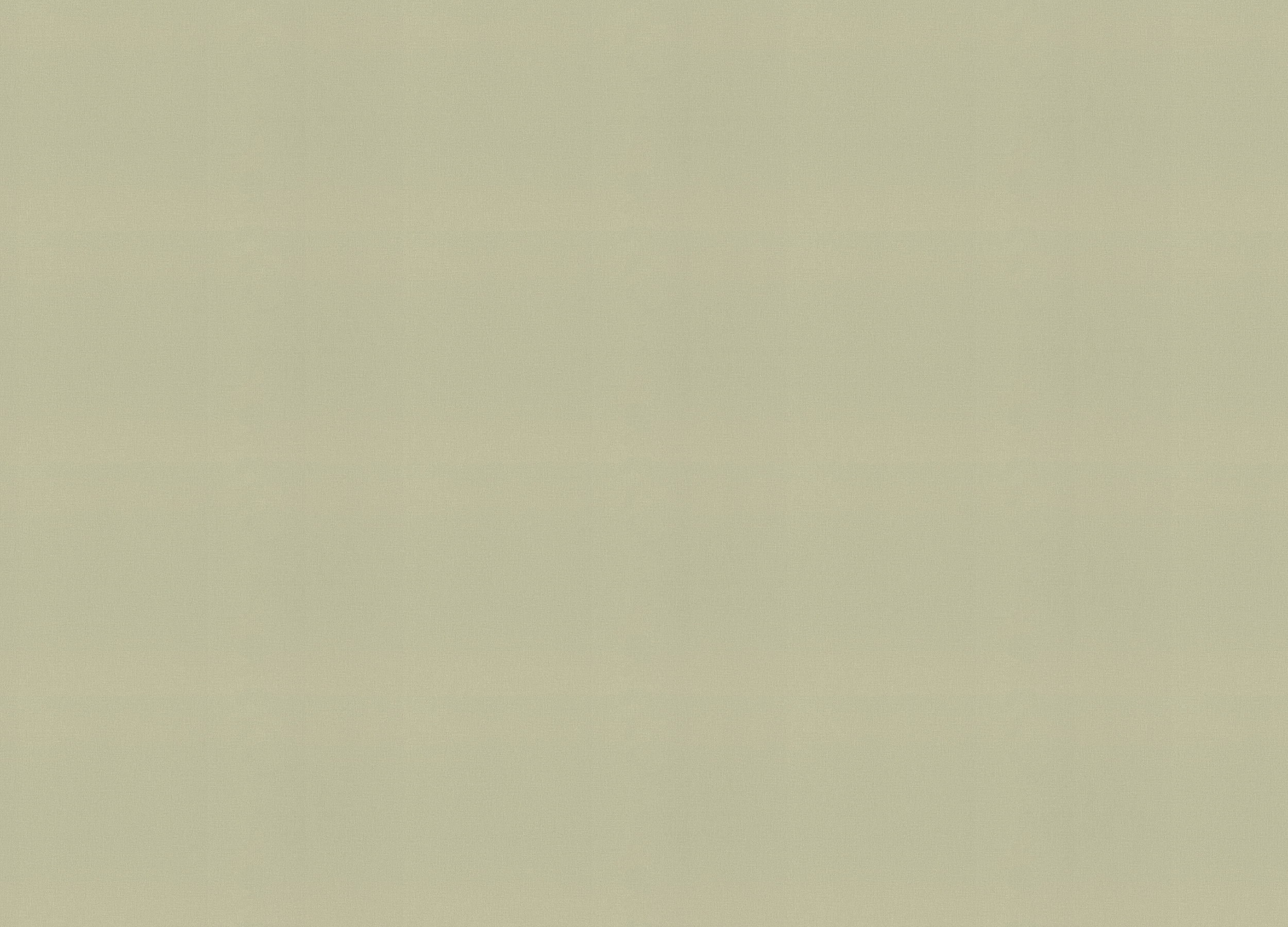 983562 Обои Rasch (Novella) (1*6) 10,05x1,06 винил на флизелине 983562 Обои Rasch (Novella) (1*6) 10,05x1,06 винил на флизелине