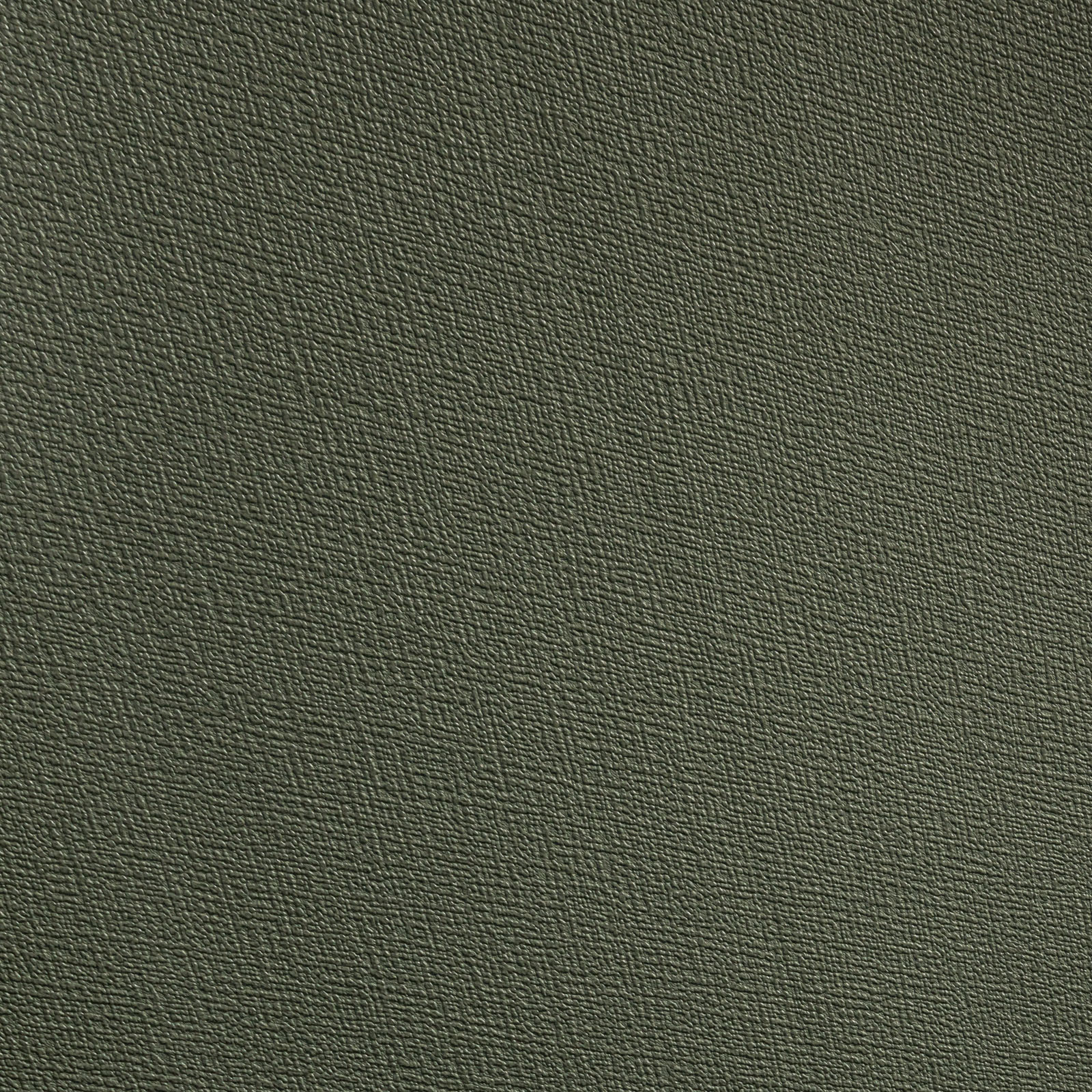 Обои   Alessandro Allori R 95011-30