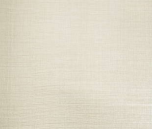 Виниловые обои Trussardi V 21834 Обои Zambaiti (Trussardi V) (1*6) 10,05x0,70 винил на флизелине