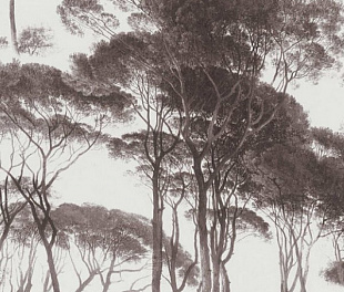 Виниловые обои History of art Обои AS Creation History of art 37651-1