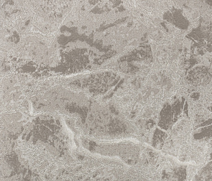 Виниловые обои Philipp Plein Обои PHILIPP PLEIN  Z 80019