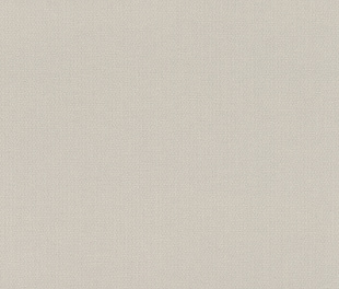 Виниловые обои Allegretto 542479 Обои Rasch (Allegretto) (1*12) 10,05x0,53 винил на флизелине