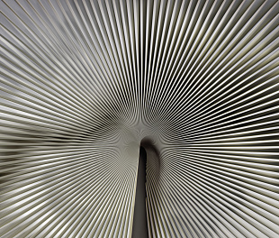 Виниловые обои Trussardi VII 18990 Панно Zambaiti (Trussardi VII) (1*1) 3,00х3,00 винил на флизелине