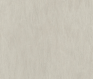 Виниловые обои Allegretto 540833 Обои Rasch (Allegretto) (1*12) 10,05x0,53 винил на флизелине