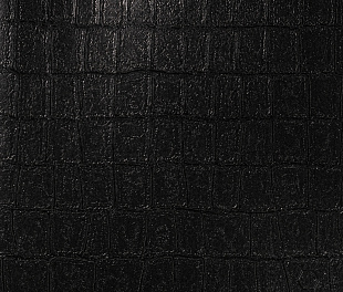 Виниловые обои Philipp Plein Обои PHILIPP PLEIN  Z 80025