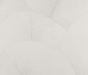 Обои KUMANO34557