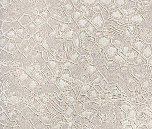 Виниловые обои Roberto Cavalli Обои  Roberto Cavalli RC 19038