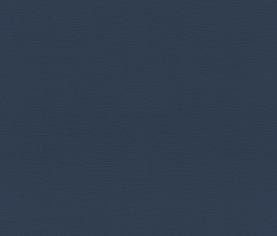 Виниловые обои Allegretto 687514 Обои Rasch (Allegretto) (1*12) 10,05x0,53 винил на флизелине