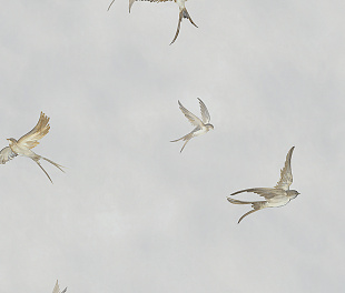 Флизелиновые обои Essentiell 34790 Обои Marburg (Essentiell) (1*12) 10,05x0,53 флизелин