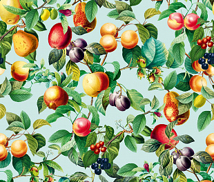 35633 Обои Marburg (Gloockler Pompoos Provence) (1*12) 10,05x0,53 винил на флизелине