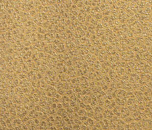 Виниловые обои Roberto Cavalli Обои  Roberto Cavalli RC 19017