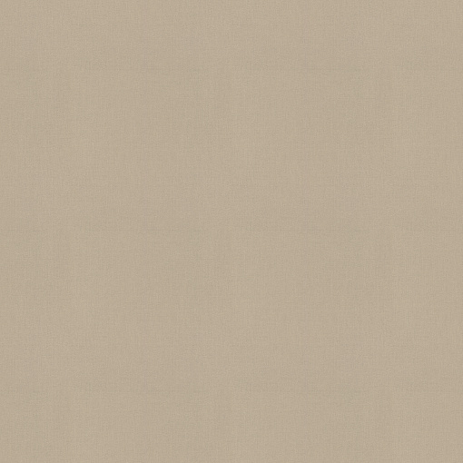 423921 Обои Rasch (Allegretto) (1*12) 10,05x0,53 винил на флизелине