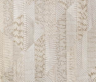 Виниловые обои Roberto Cavalli Обои  Roberto Cavalli RC 19069