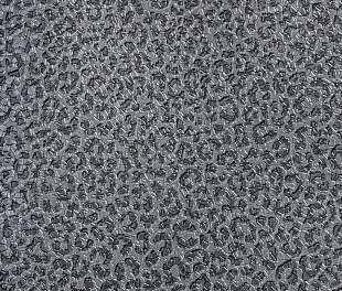 Виниловые обои Roberto Cavalli Обои  Roberto Cavalli RC 19019