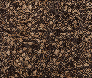 Виниловые обои Roberto Cavalli Обои  Roberto Cavalli RC 19040