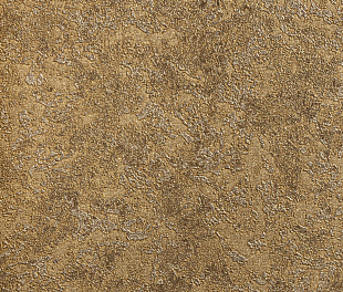 Виниловые обои Roberto Cavalli Обои  Roberto Cavalli RC 19053