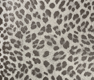 Виниловые обои Philipp Plein Обои PHILIPP PLEIN  Z 80045