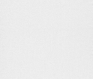 Обои панно Patent Decor 1886 Обои Marburg (Patent Decor) (1*6) 10,05х0,75 флиз