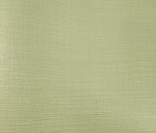 Виниловые обои Trussardi V 21840 Обои Zambaiti (Trussardi V) (1*6) 10,05x0,70 винил на флизелине