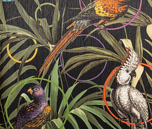 Виниловые обои Dolce Vita Обои  Alessandro Allori RDV 2401-1