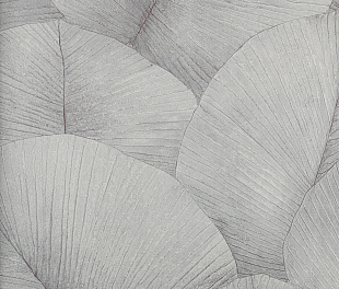 Обои KUMANO34562