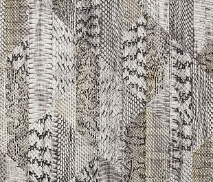 Виниловые обои Roberto Cavalli Обои  Roberto Cavalli RC 19066