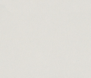 Виниловые обои Allegretto 479423 Обои Rasch (Allegretto) (1*12) 10,05x0,53 винил на флизелине
