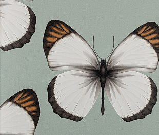 Виниловые обои Cheradi Обои Andrea Rossi Cheradi 54401-4