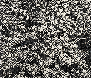 Виниловые обои Roberto Cavalli Обои  Roberto Cavalli RC 19036