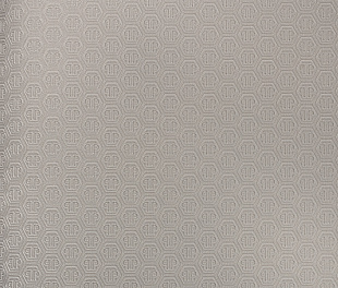 Виниловые обои Philipp Plein Обои PHILIPP PLEIN  Z 80060