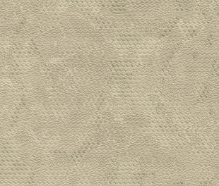 Виниловые обои Lamborghini II 90026 Обои Zambaiti (Lamborghini II) (1*6) 10,05x0,70 винил на флизелине