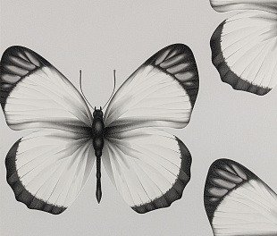 Виниловые обои Cheradi Обои Andrea Rossi Cheradi 54401-1