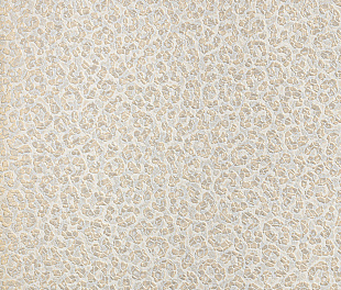 Виниловые обои Roberto Cavalli Обои  Roberto Cavalli RC 19018