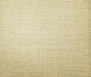 Виниловые обои Trussardi V 21832 Обои Zambaiti (Trussardi V) (1*6) 10,05x0,70 винил на флизелине